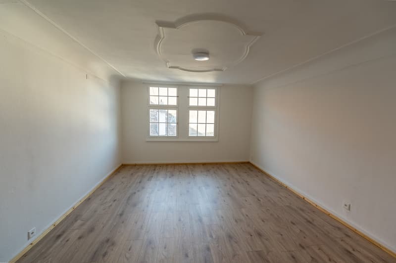 4-Zimmer-Wohnung mit Garten in idyllischer Lage – Stein am Rhein (4)