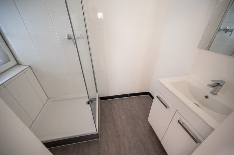 4-Zimmer-Wohnung mit Garten in idyllischer Lage – Stein am Rhein (8)