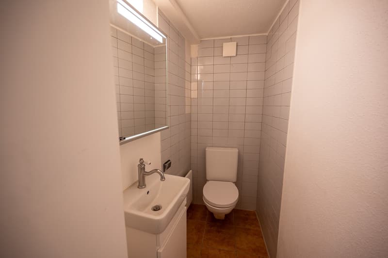 4-Zimmer-Wohnung mit Garten in idyllischer Lage – Stein am Rhein (7)