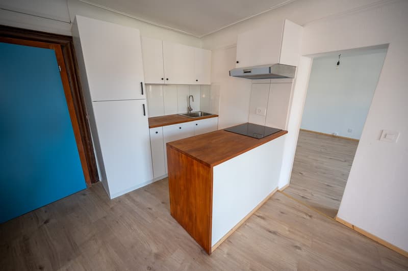 Charmante 2.5-Zimmer-Altbauwohnung in Stein am Rhein - frisch renoviert (2)