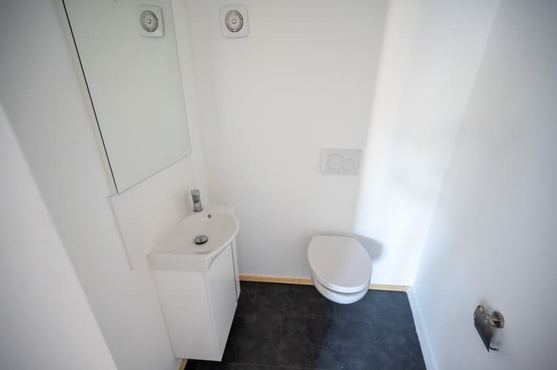 Charmante 2.5-Zimmer-Altbauwohnung in Stein am Rhein - frisch renoviert (7)