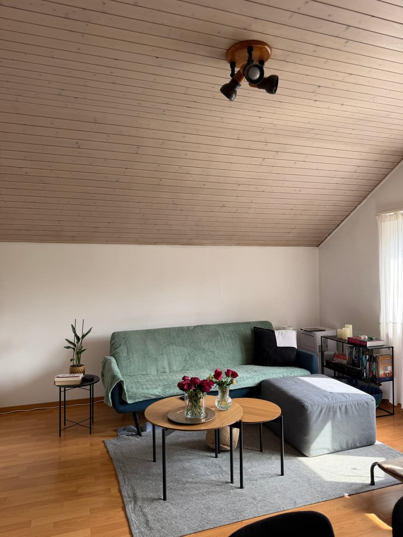 hübsche 2-Zimmer-Dachwohnung an ruhiger Lage (3)