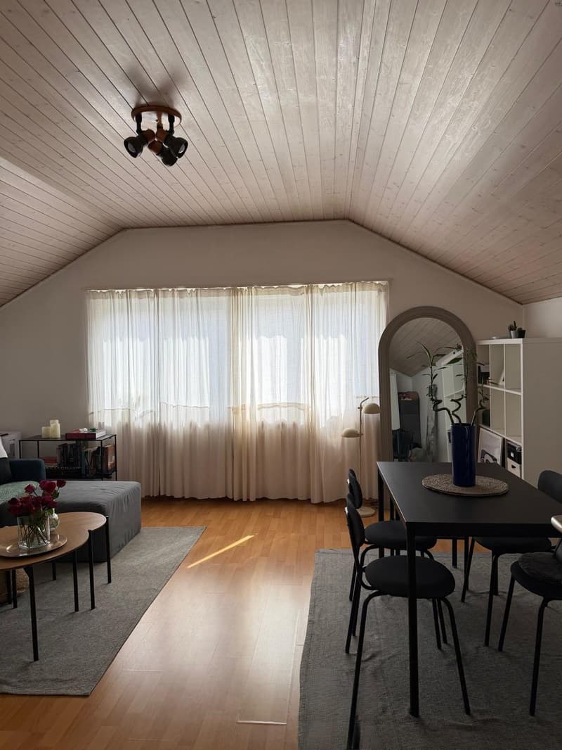 hübsche 2-Zimmer-Dachwohnung an ruhiger Lage (2)