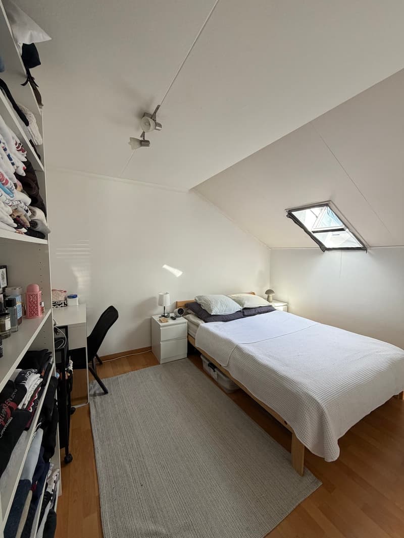 hübsche 2-Zimmer-Dachwohnung an ruhiger Lage (4)