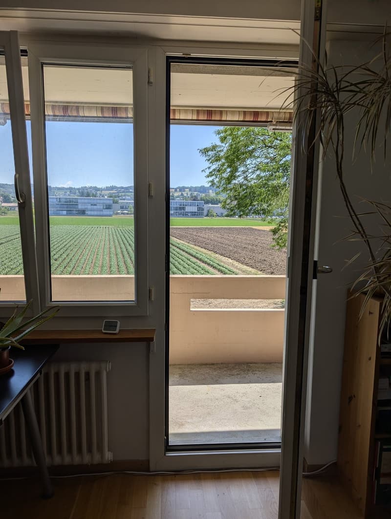 hübsche 3-Zimmerwohnung in Tägerwilen/Gottlieben am See (6)