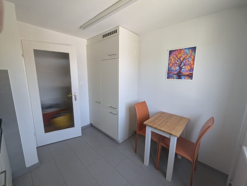 hübsche 3-Zimmerwohnung in Tägerwilen/Gottlieben am See (3)