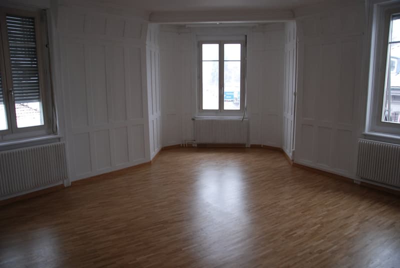 4 1/2-pièces grand, charmant appartement ancien (6)