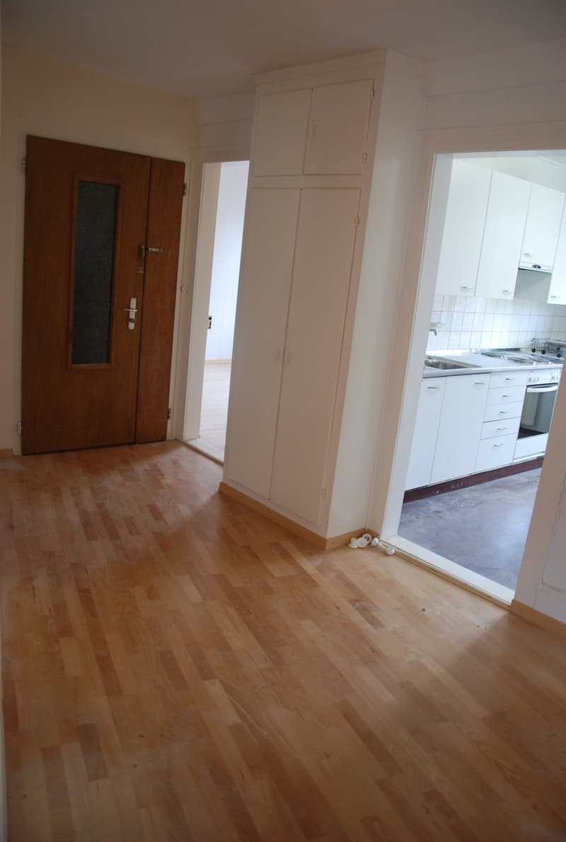4 1/2-pièces grand, charmant appartement ancien (8)