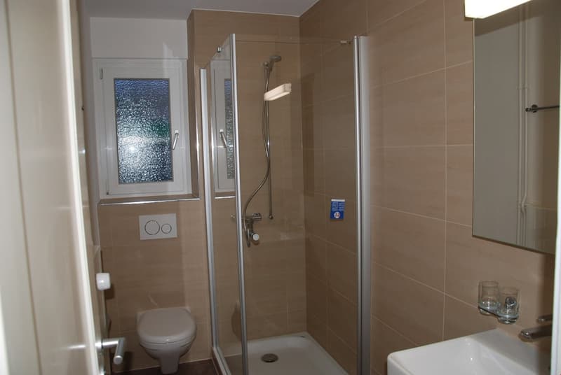 Beautiful, practical 1.5-room apartment - near Grossacker/Silberturm (2)