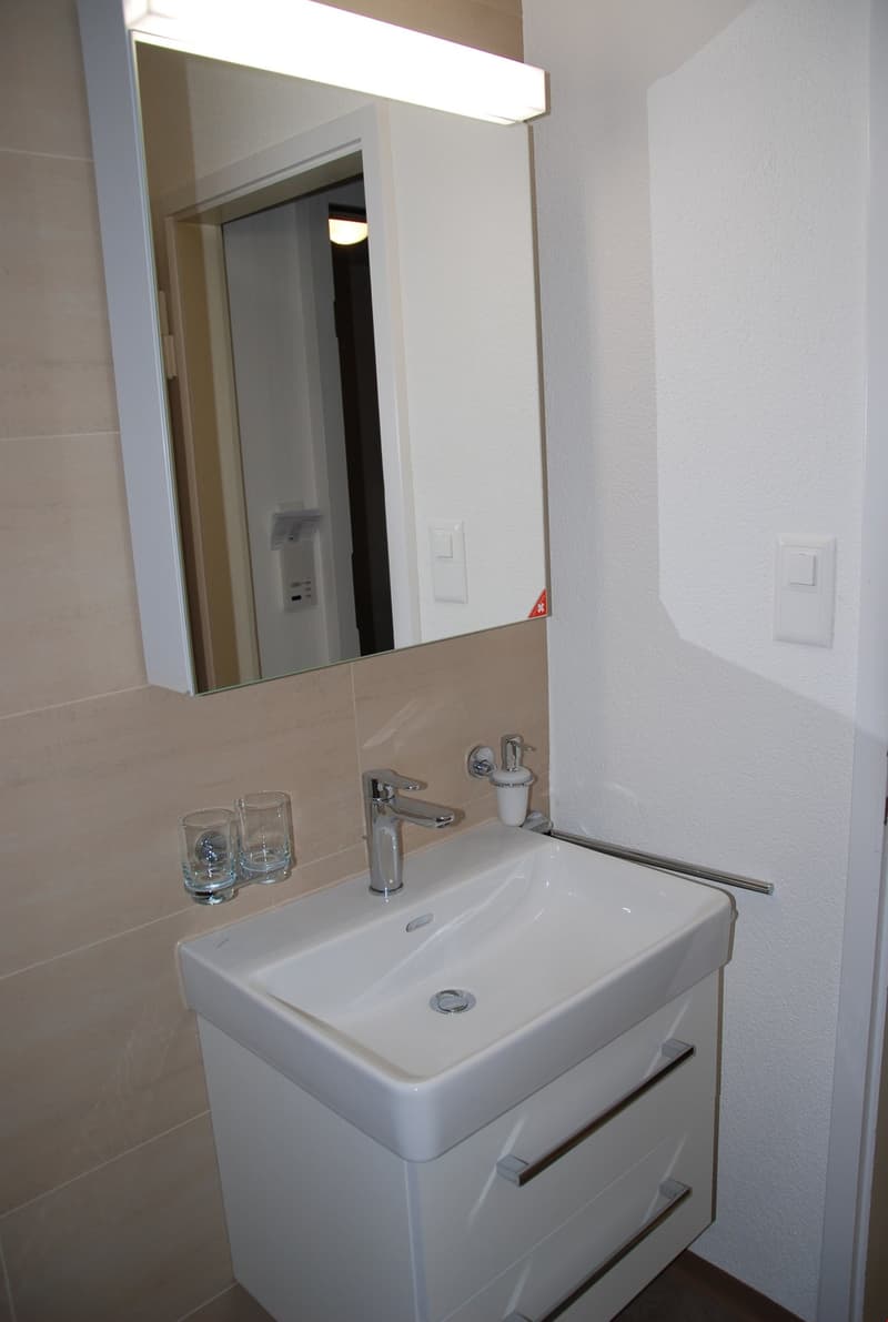 Beautiful, practical 1.5-room apartment - near Grossacker/Silberturm (3)