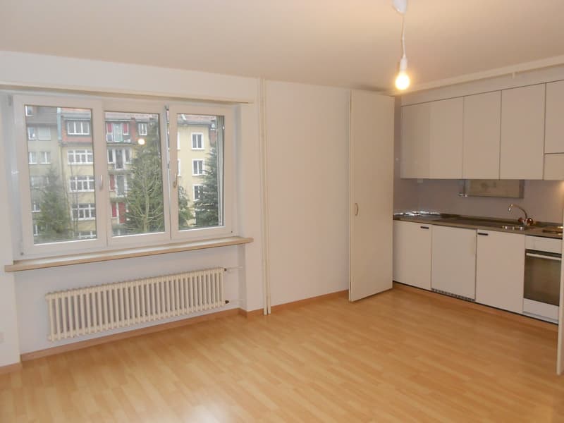 Beautiful, practical 1.5-room apartment - near Grossacker/Silberturm (1)
