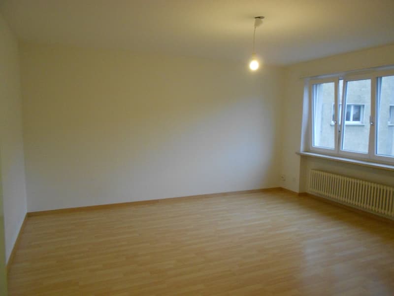 Beautiful, practical 1.5-room apartment - near Grossacker/Silberturm (4)