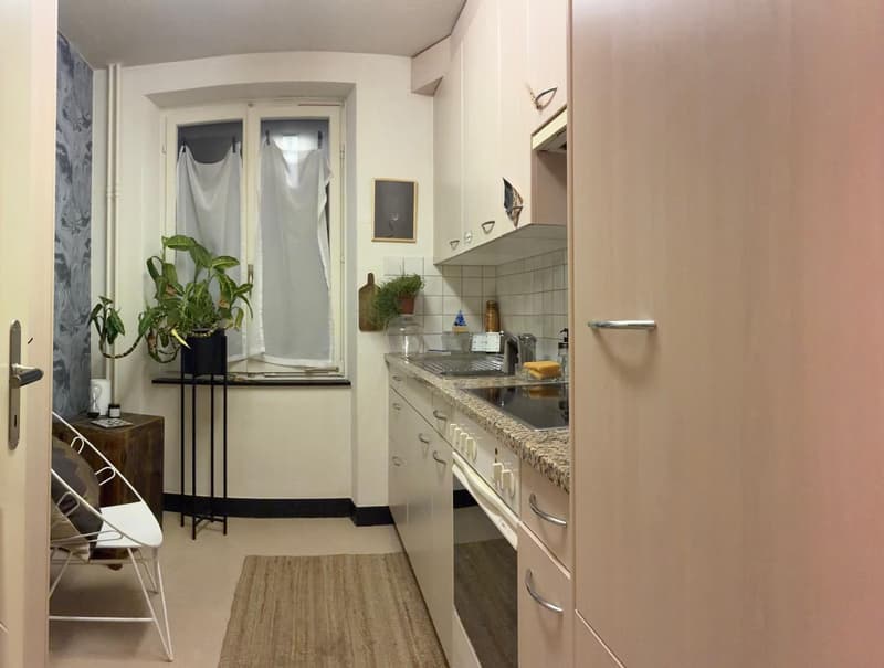 gemütliche 2 -Zi. Wohnung an zentraler Lage (2)
