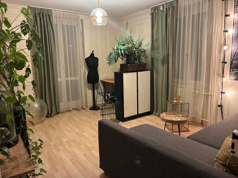 gemütliche 2 -Zi. Wohnung an zentraler Lage (3)