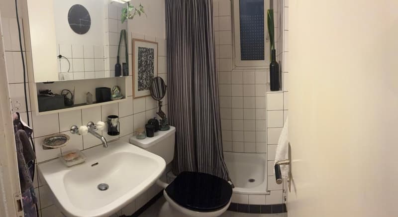 gemütliche 2 -Zi. Wohnung an zentraler Lage (5)