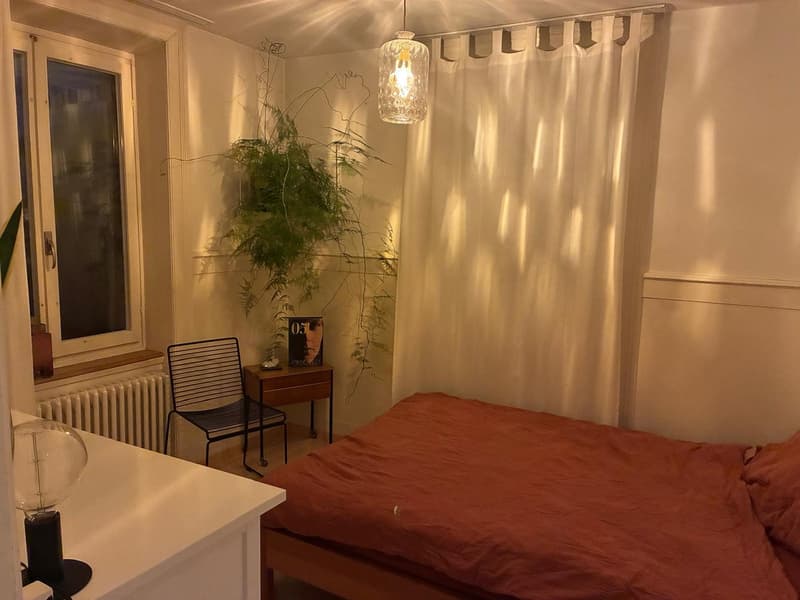 gemütliche 2 -Zi. Wohnung an zentraler Lage (4)