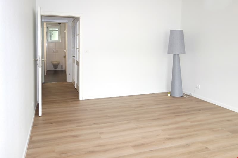 Erstvermietung: komplett neu sanierte 4,5-Zi.Wohnung, 110 m2 (13)