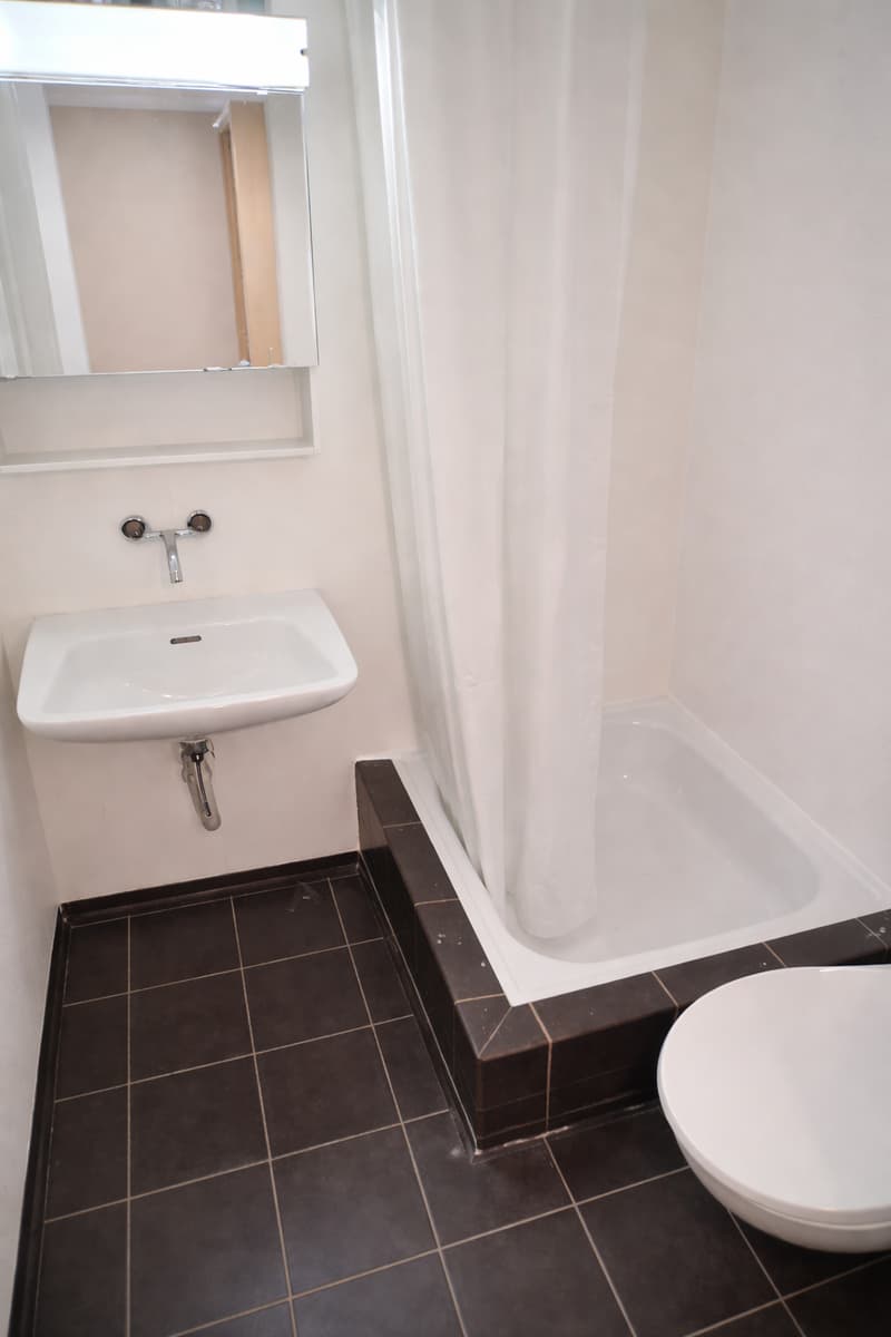 Schöne 3.5 Zimmer-Wohnung an guter Lage zu vermieten (4)