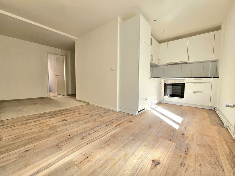 schöne, renoviete 2.5 Zimmer Wohnung (1)