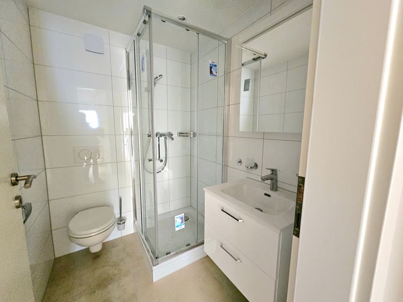 schöne, renoviete 2.5 Zimmer Wohnung (3)