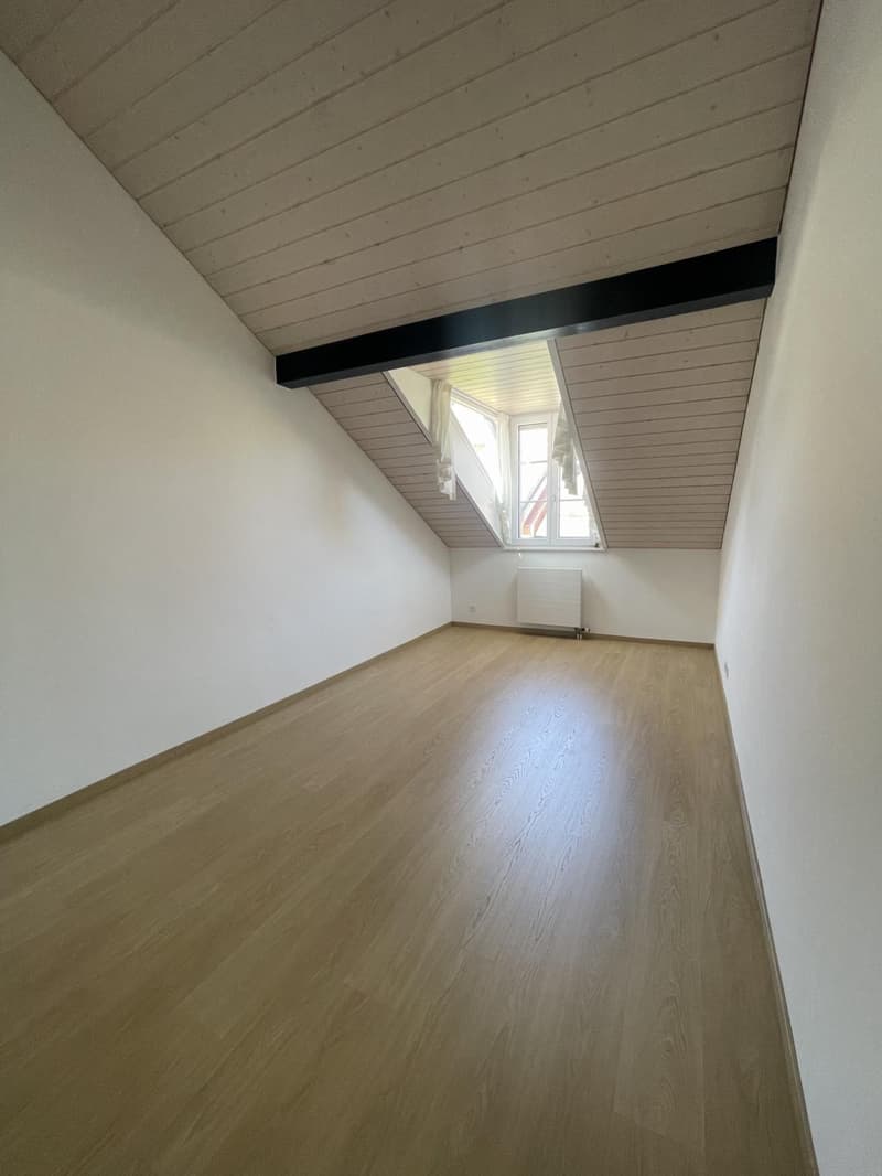Accogliente alloggio nel cuore di Grand-Rue e a due passi dal lago (10)