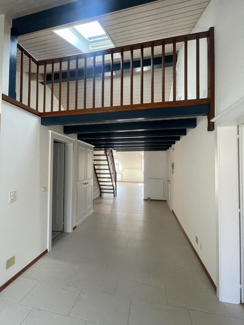 Accogliente alloggio nel cuore di Grand-Rue e a due passi dal lago (6)