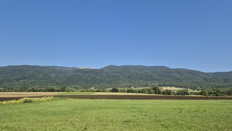 Charmante maison à louer sur Chéserex (6)