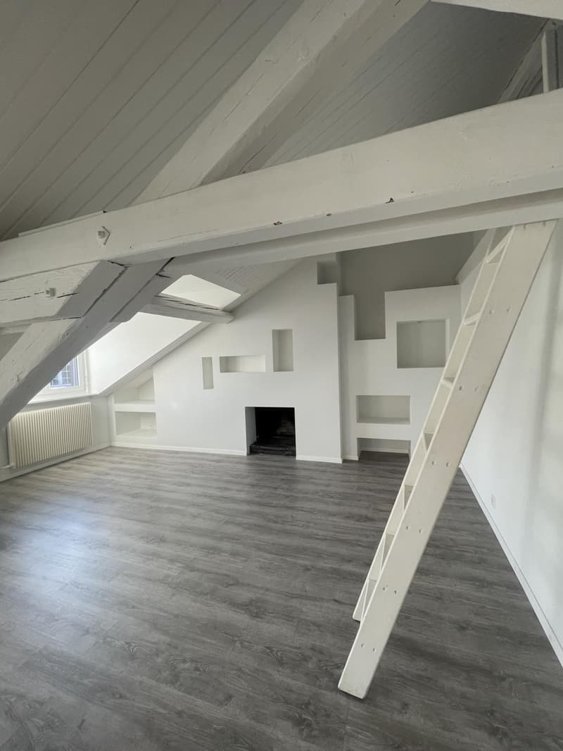 Charming 3-room attic apartment on the 4th floor (5)
