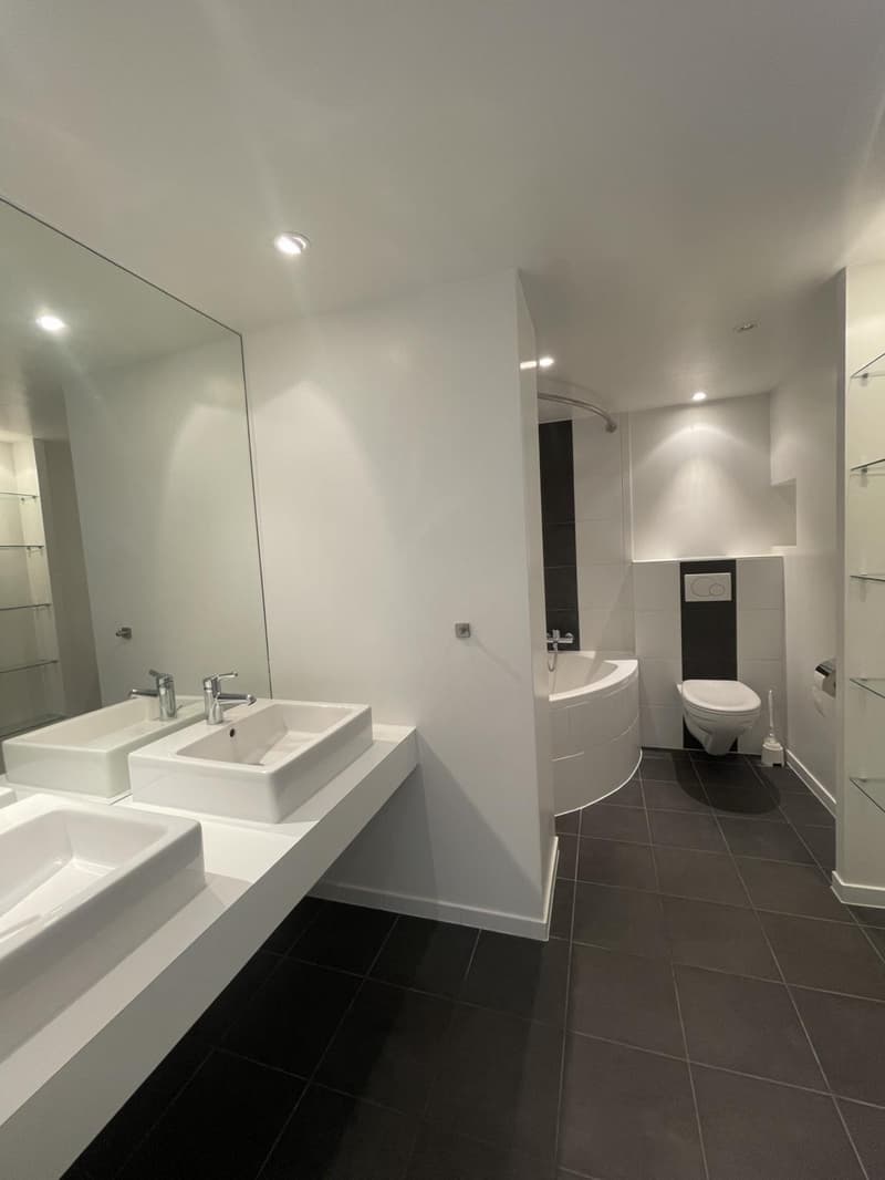 Charming 3-room attic apartment on the 4th floor (4)