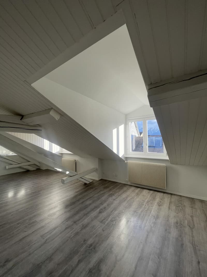Charming 3-room attic apartment on the 4th floor (2)