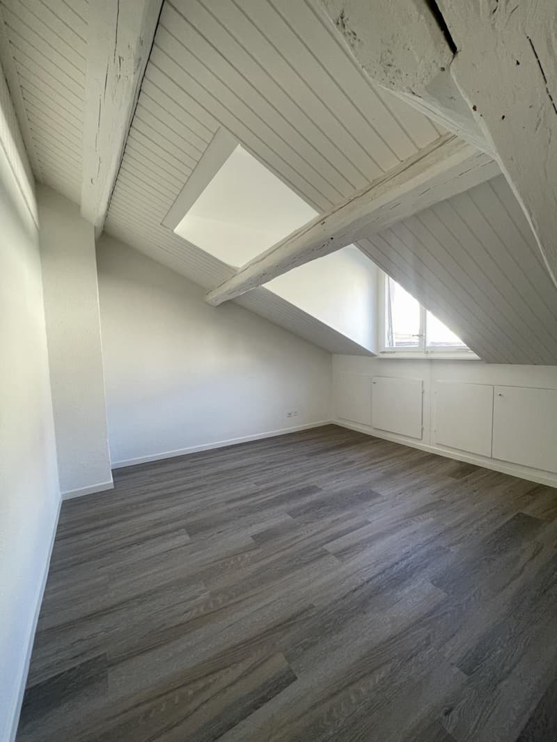 Charming 3-room attic apartment on the 4th floor (6)