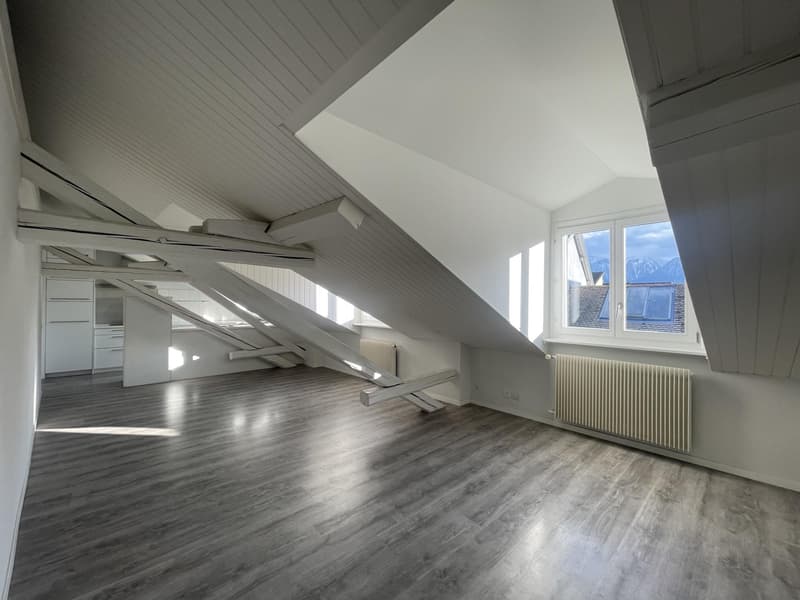 Charming 3-room attic apartment on the 4th floor (3)