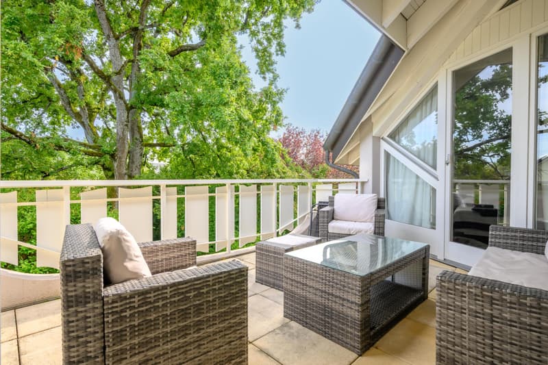 Splendid villa on the heights of Nyon (10)