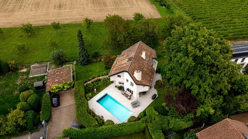 Splendid villa on the heights of Nyon (11)