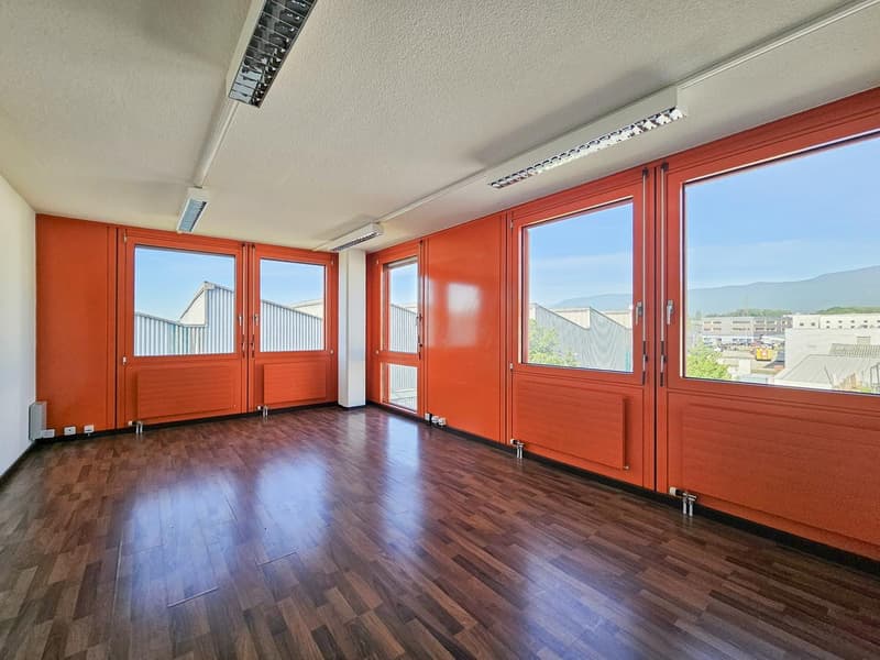 Offices for sale in Nyon (4)