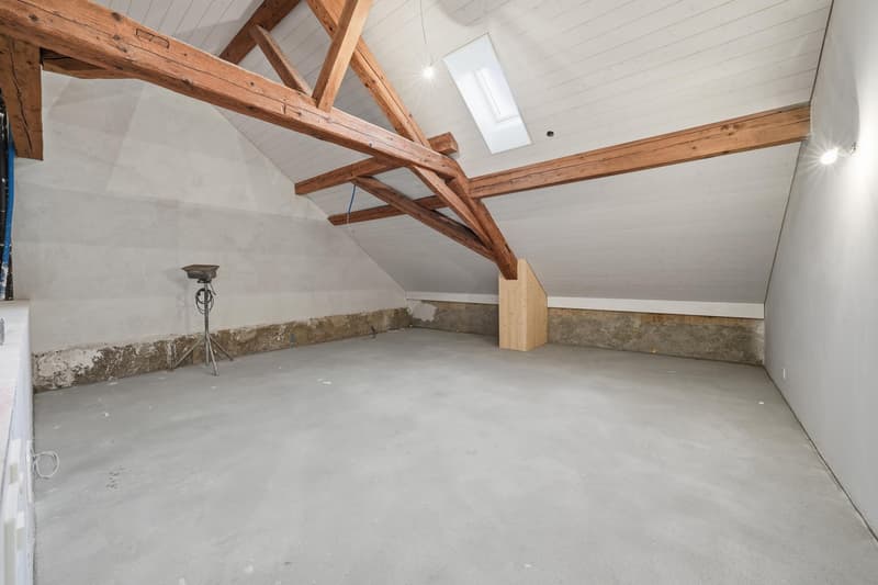 Appartement de haut standing à Arzier (10)