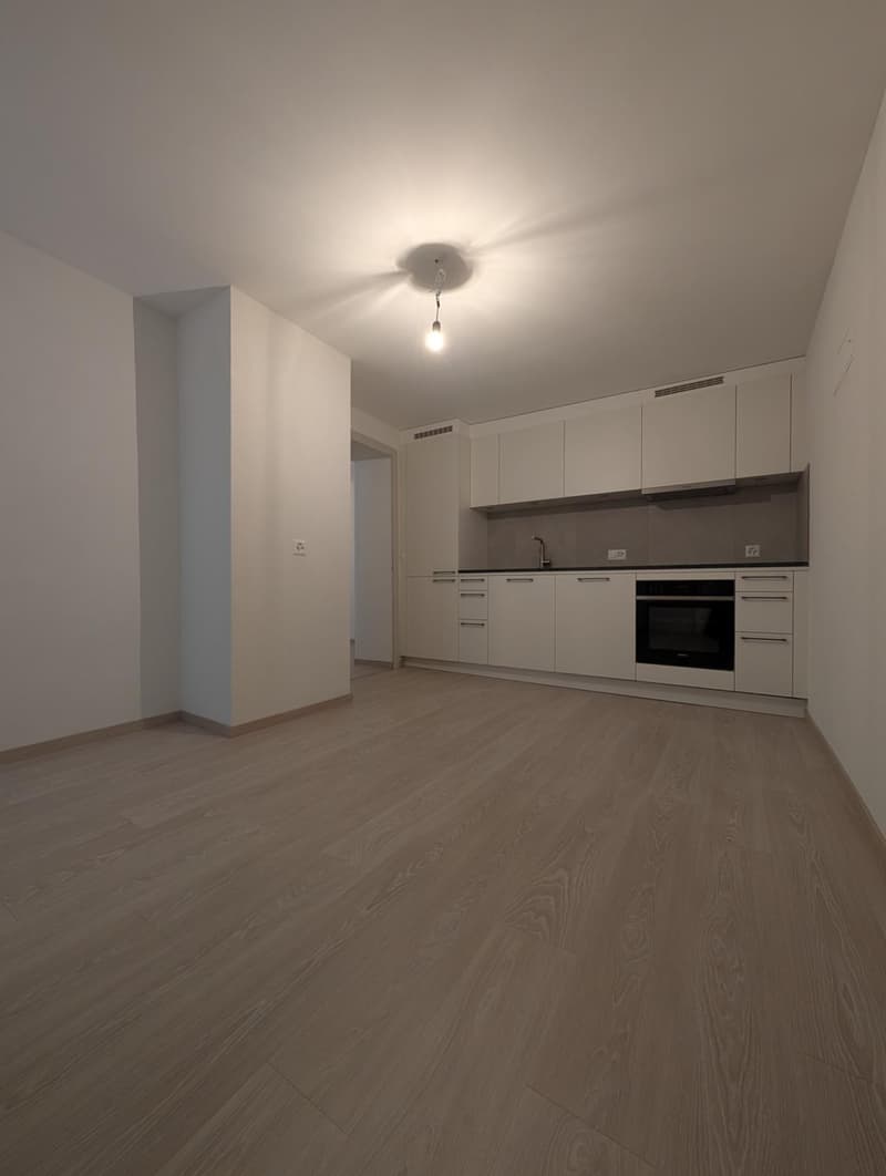 Wohnung mit 3.5 Zimmern im 2. Stock renoviert (1)