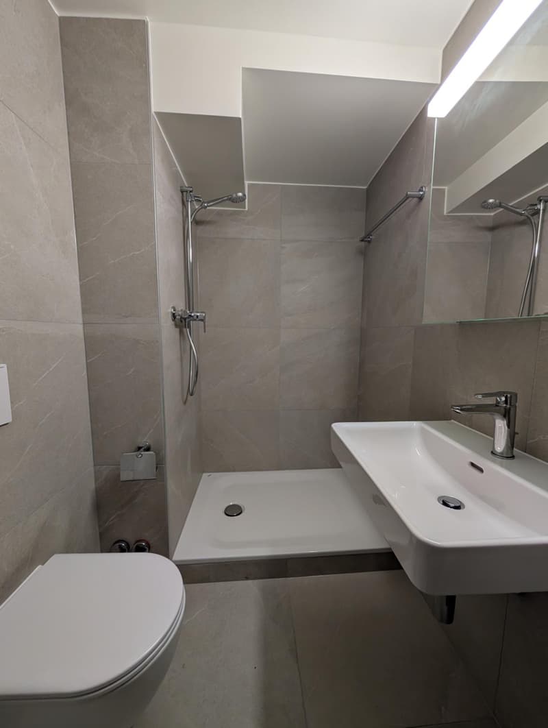 Wohnung mit 3.5 Zimmern im 2. Stock renoviert (4)