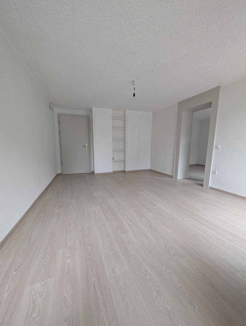Wohnung mit 3.5 Zimmern im 2. Stock renoviert (3)