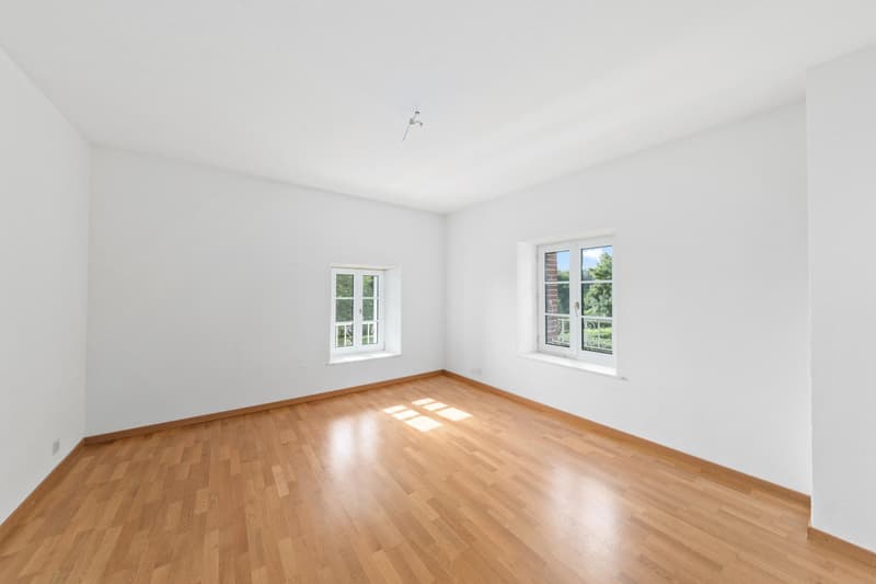Gilly - Charming semi-detached villa with a beautiful garden (7)