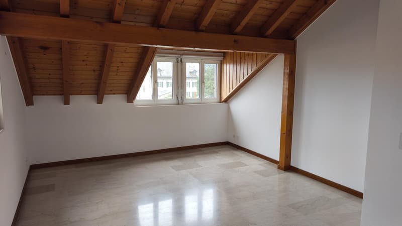 Bello appartamento di 3,5 locali con due terrazze al 2° piano (3)