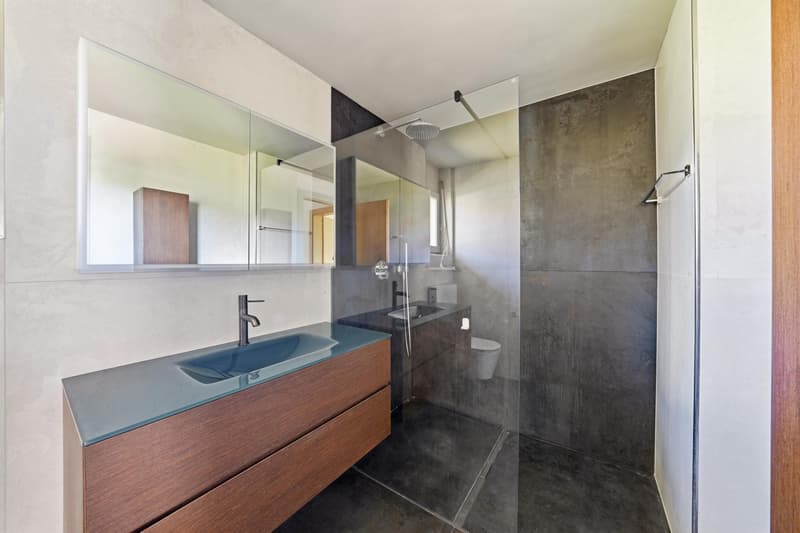 Duplex-Penthouse mit 5,5 Zimmern in Bursinel (8)