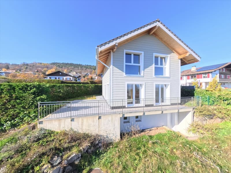 Charmannte Villa in Arzier (1)