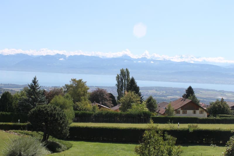 Charmannte Villa in Arzier (9)