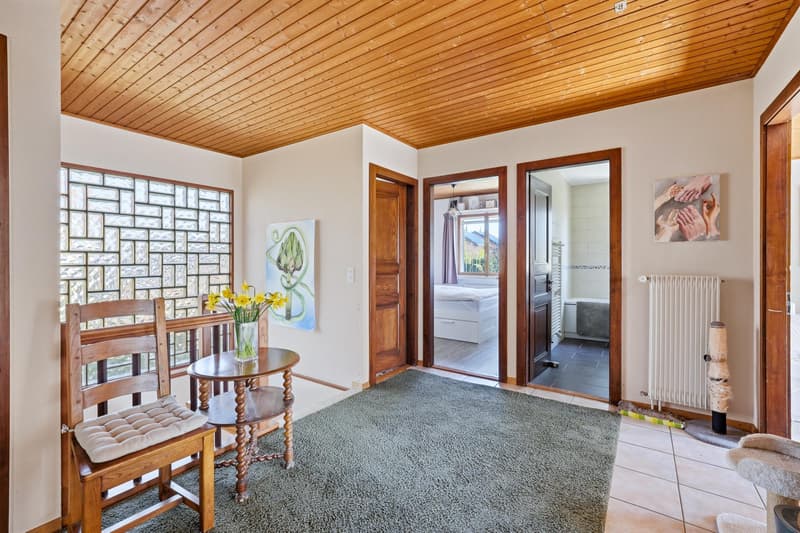 Charming individual villa in Prangins (4)