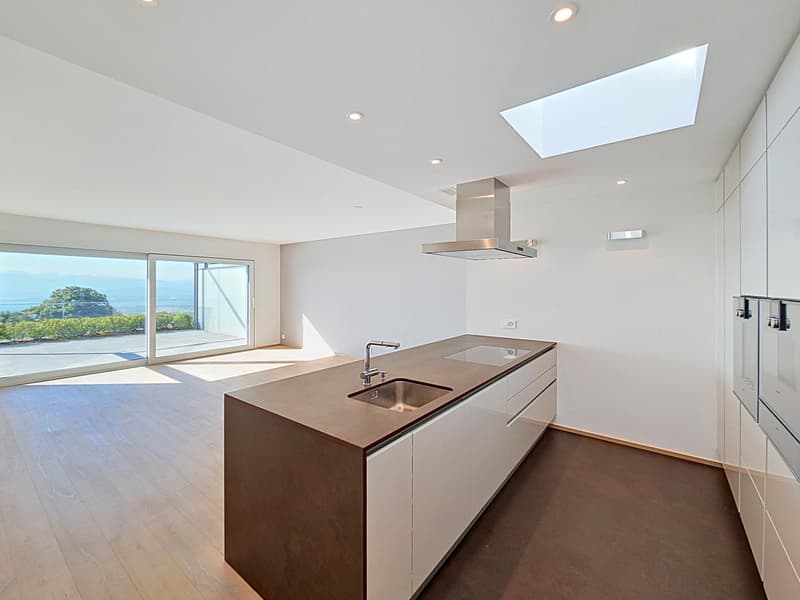 Exceptional attic with panoramic view of the lake and the Alps (5)