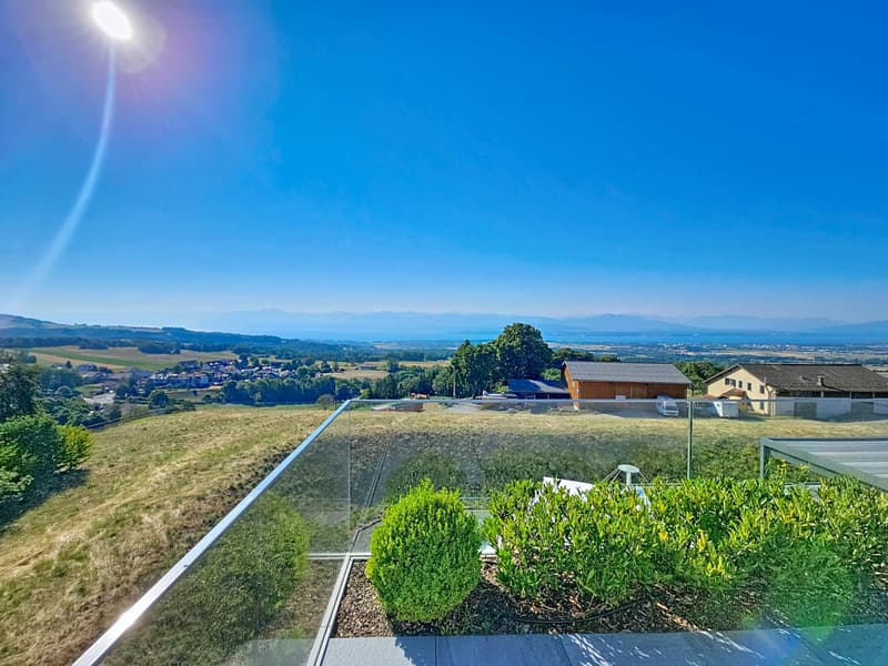 Exceptional attic with panoramic view of the lake and the Alps (13)