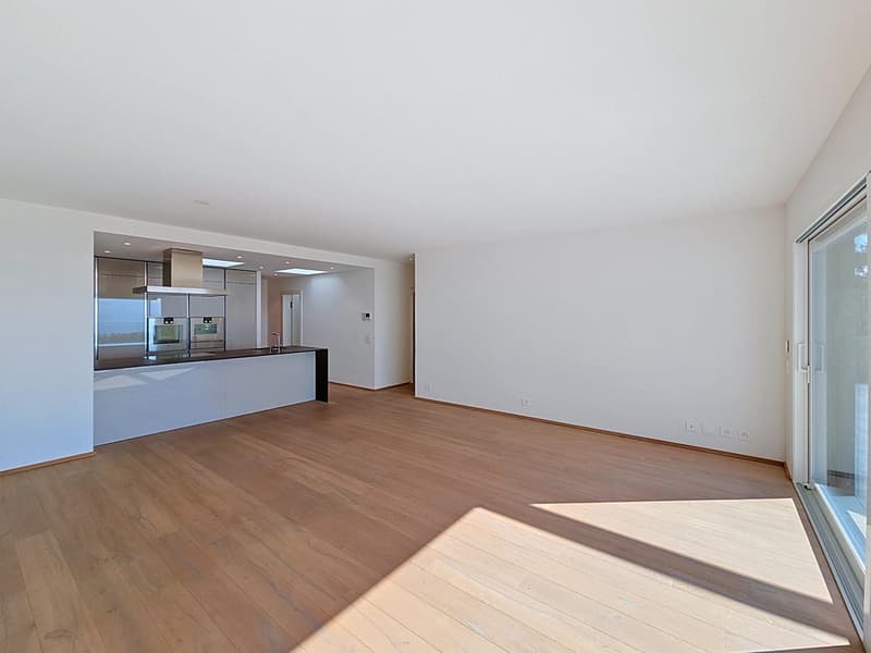 Exceptional attic with panoramic view of the lake and the Alps (3)