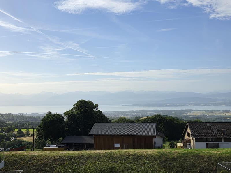 Attika der Superlative mit Panoramablick auf den See und die Alpen (3)