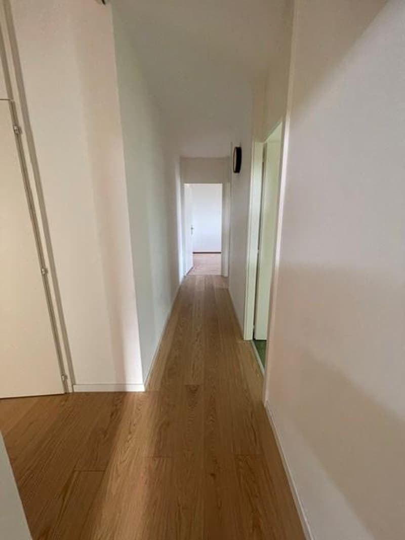 Prächtige 5,5-Zimmer-Wohnung (7)